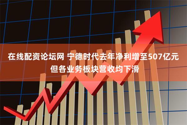 在线配资论坛网 宁德时代去年净利增至507亿元 但各业务板块营收均下滑
