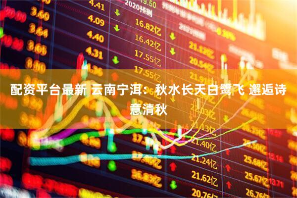 配资平台最新 云南宁洱：秋水长天白鹭飞 邂逅诗意清秋