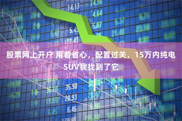 股票网上开户 用着省心，配置过关，15万内纯电SUV我找到了它